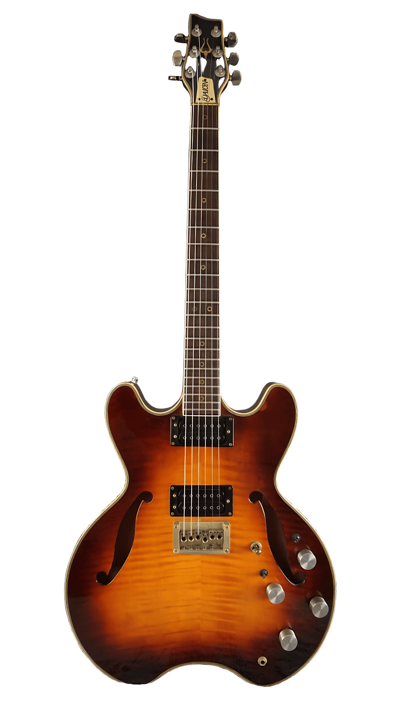 Daion Headhunter - Daion Guitars Daion HH-555 – Semi-Acoustic Guitar