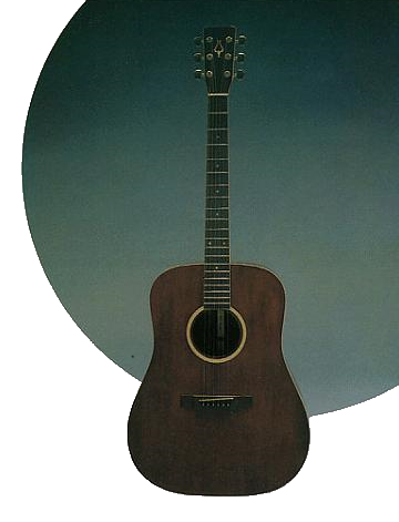 Akoestische Daion Gitaar